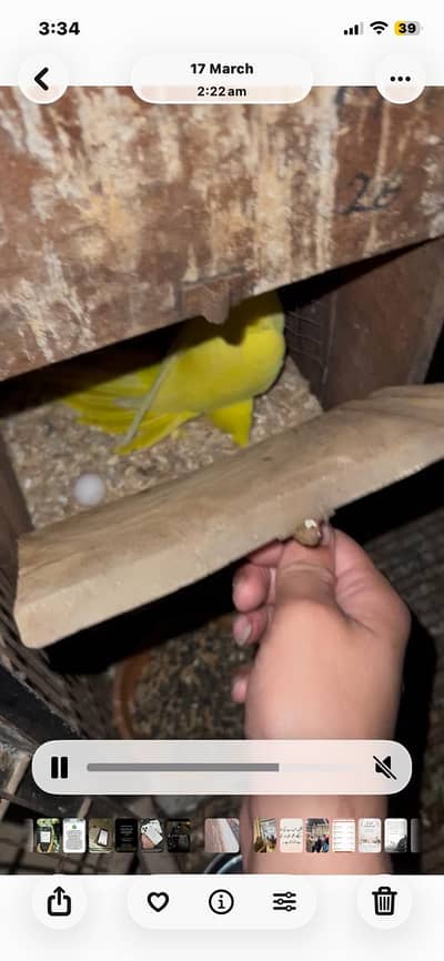 Urgent sale Only serious buyer only WhatsApp 03187089823