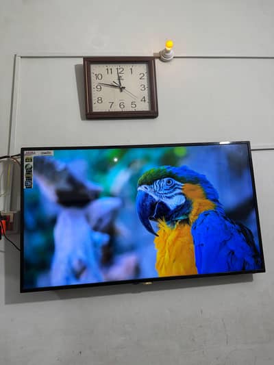 Akira Smart TV 55 inch 4k resolution