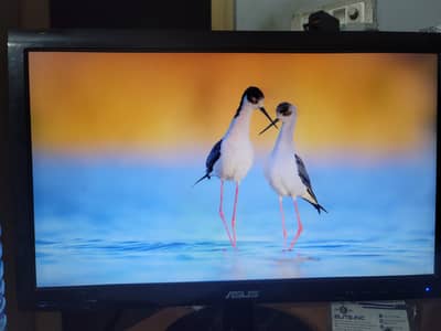 Asus 27 inch, 19 inch monitor