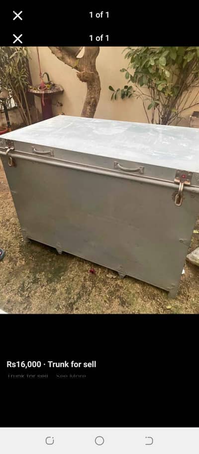 trunk for sale
