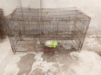 folding cage for sale