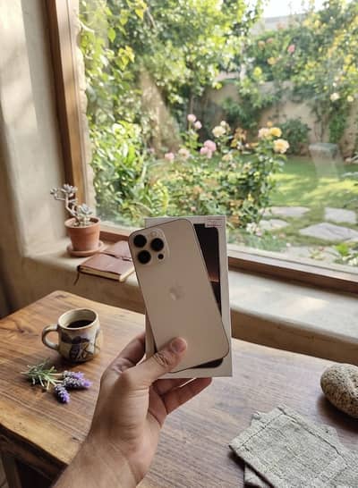 iPhone 16 pro max jv