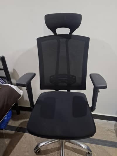 Ergonomic Office Chair