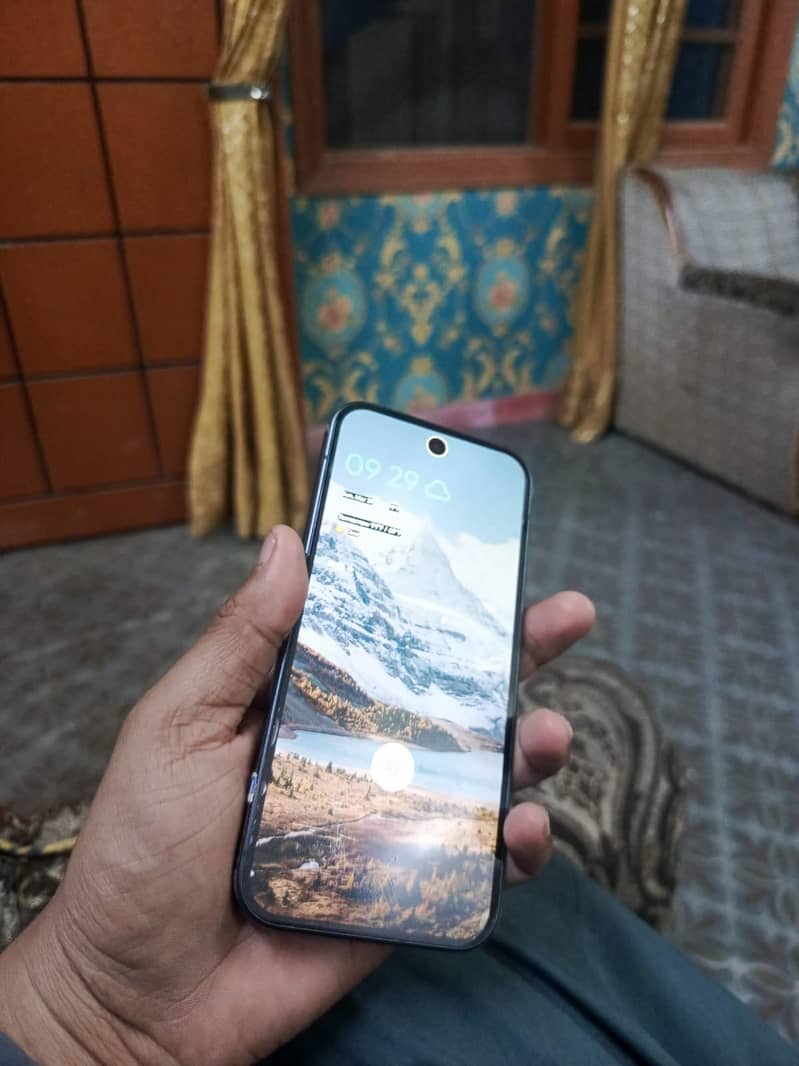 Google Pixel 9 Pro 4