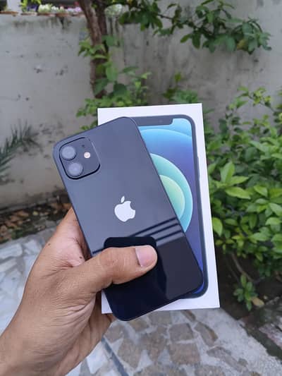 Iphone 12 Factory Unlocked with Box