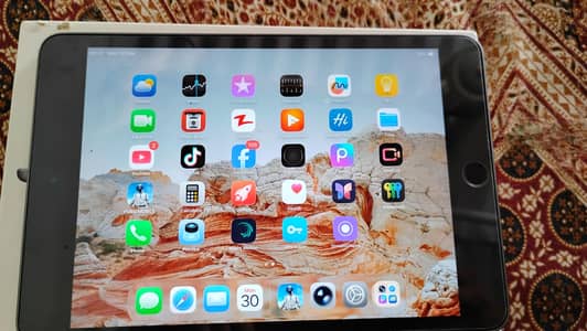 ipad mini 5 with box