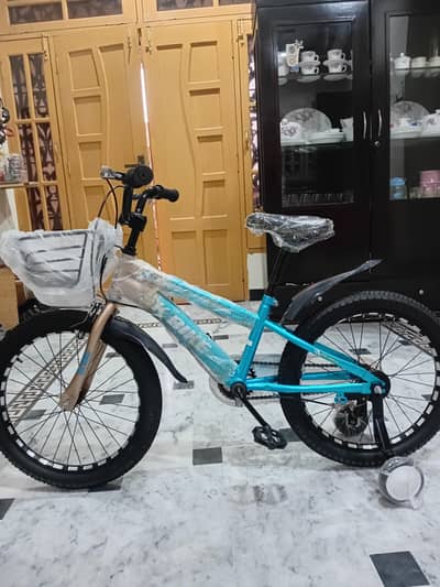 SK BIKE 20 INCH FIR SALE