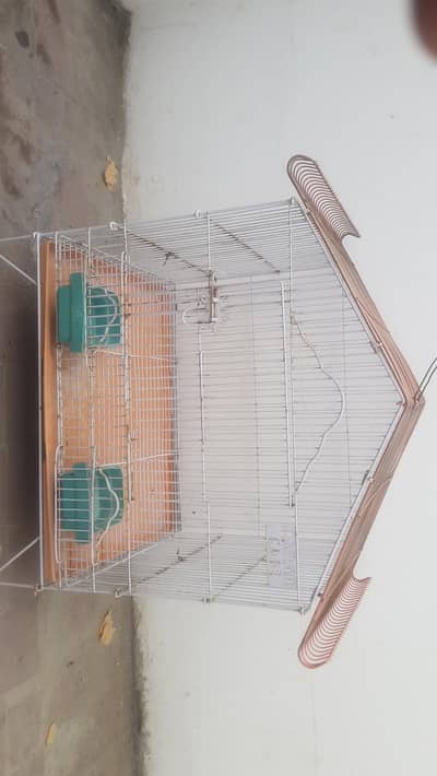 Birds cage normal size