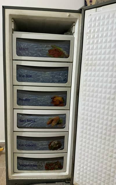 Vertical Freezer 7 Tray |  100% Compressor | No Work