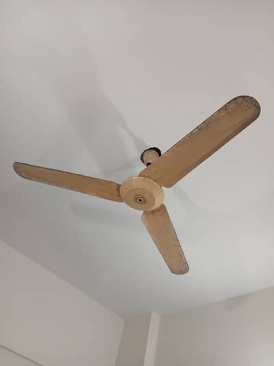 Ceiling Fan for sale