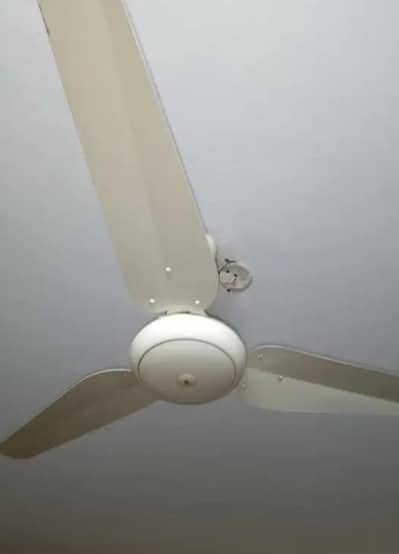 SK Ceiling fan