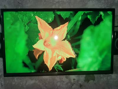 32 inch Haier led for sale with android box