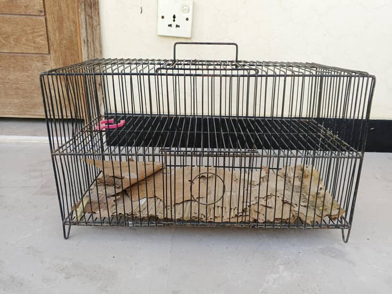 cages 1