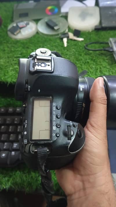 5D Mark 3  50mm lens  1.4