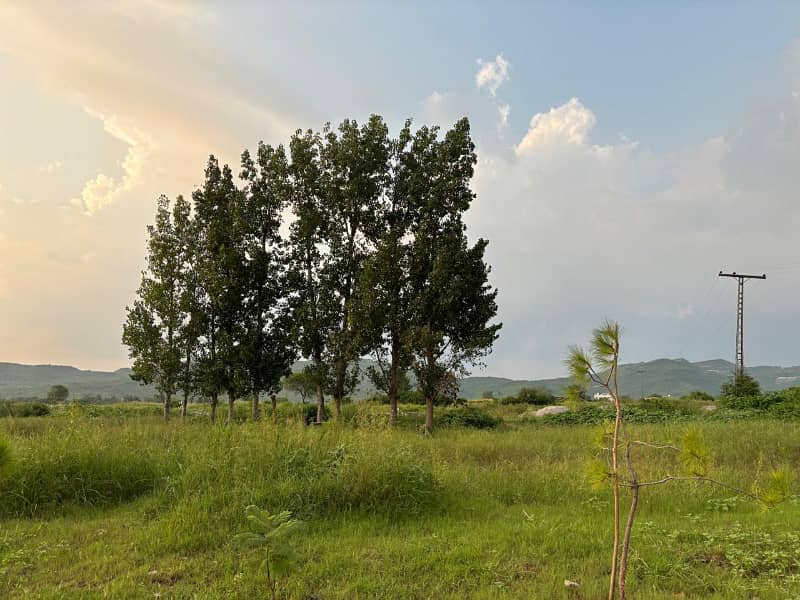 Level Area Plot File, A to B 1