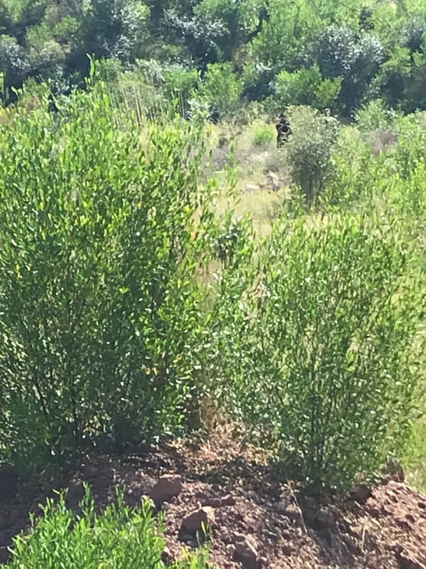 Level Area Plot File, A to B 4