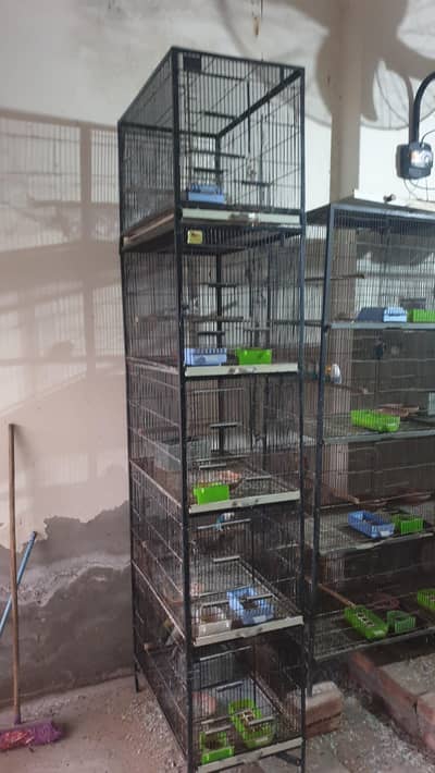 (Heavy Weight Cages)(Special Boxes  Palay + Wood) Used 1 season