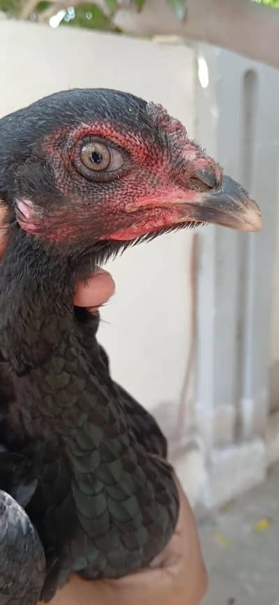 serios person contact