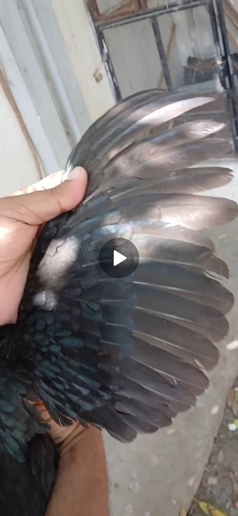 serios person contact 1