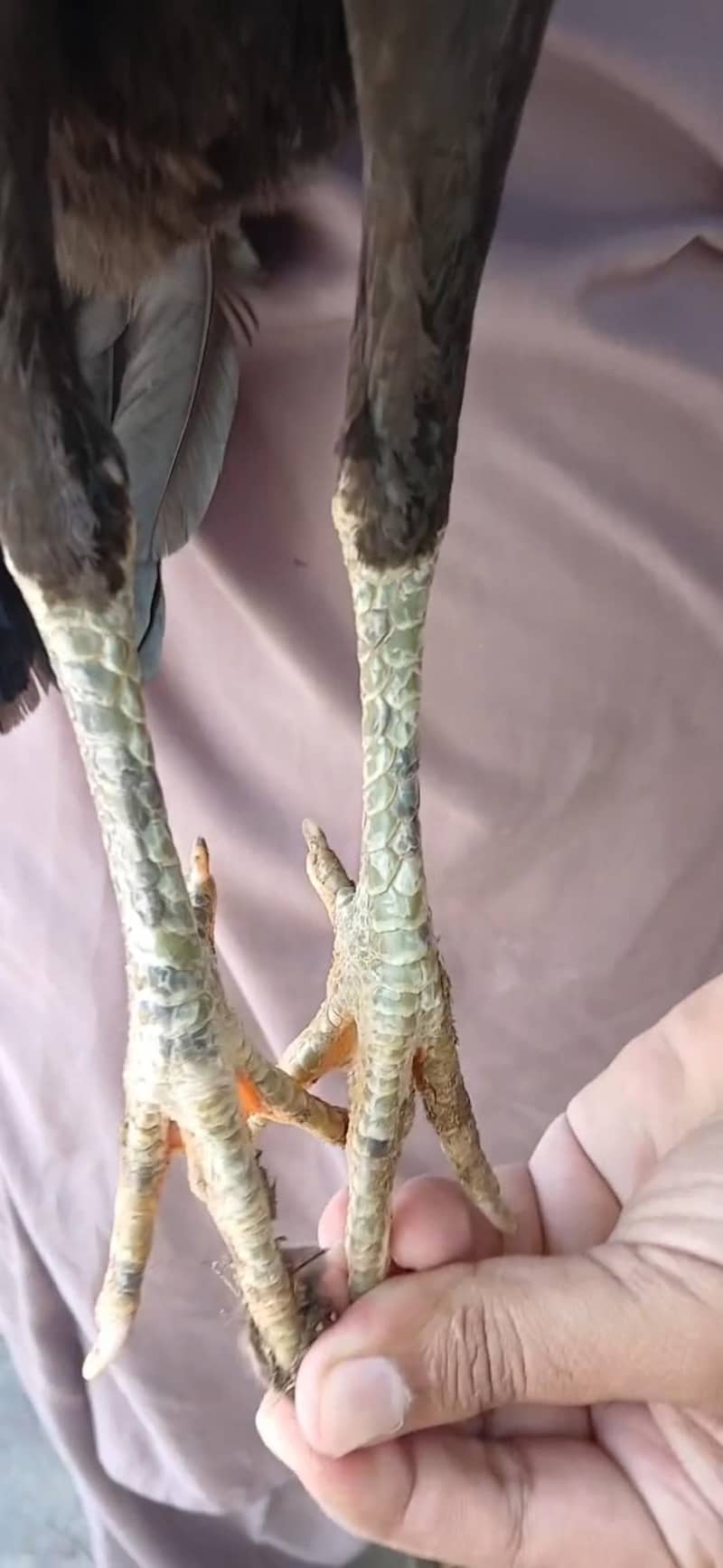 serios person contact 2