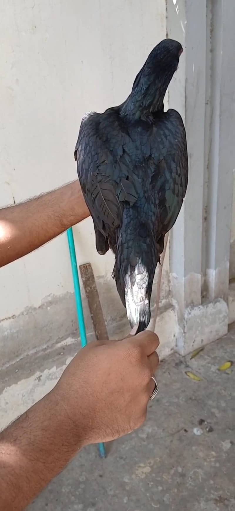 serios person contact 3