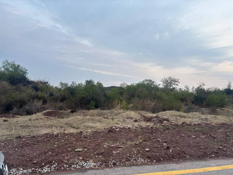 South Face | Beautiful Level Plot 3