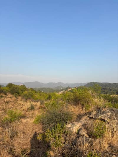 South Face | Beautiful Level Plot