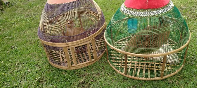 irani teeter 03239140503 rbta nmbr