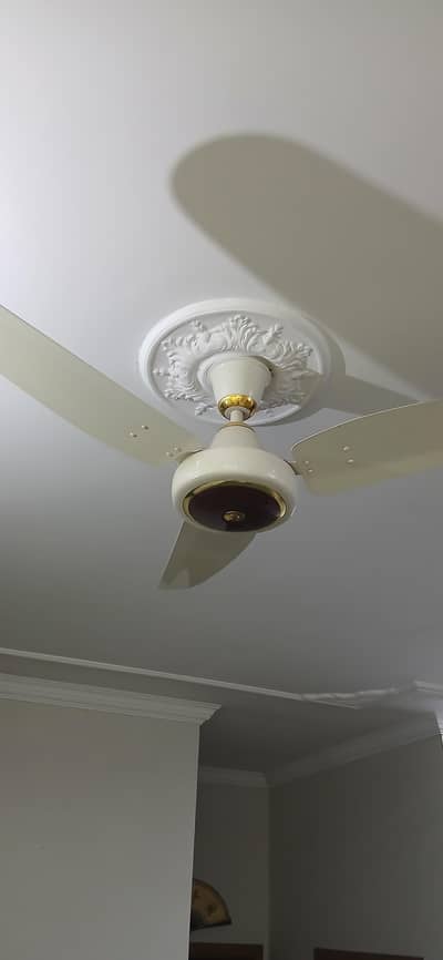 Royal Ceiling Fan (Non Inverter) Roof Fans Home