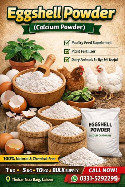 Eggshell Powder (Calcium) Poultry, Plants & Dairy ke liye Bulk availab