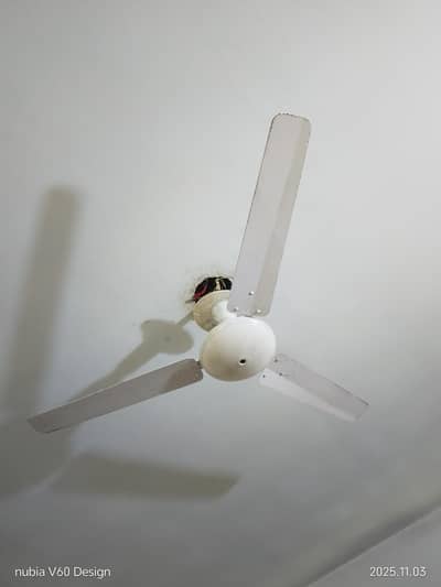 56 inch 2 Fans