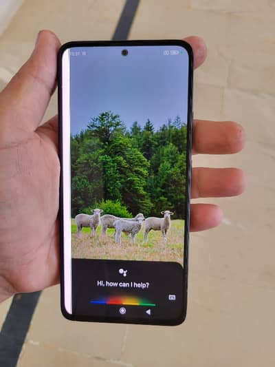 Redmi Note 13 8+4/256 PTA Offical Approved