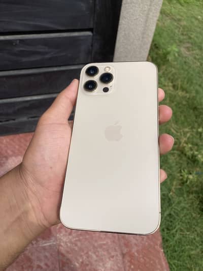 Iphone 12 pro max 256gb pta approved