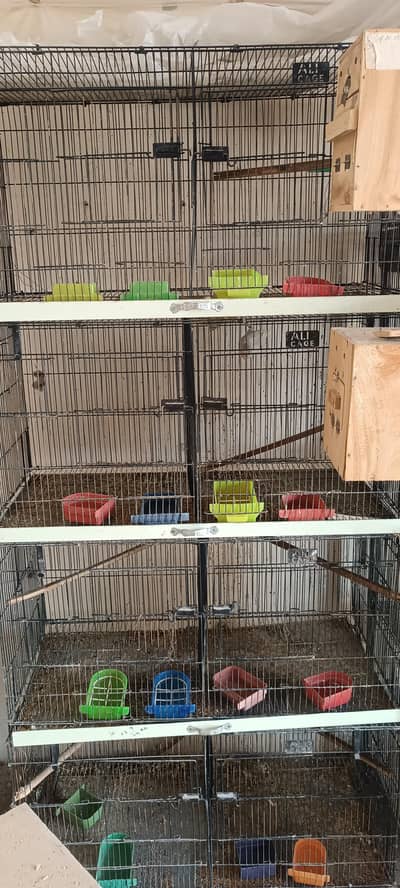 8 portion cage for sale
