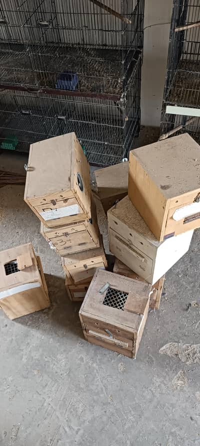 breeding box for sale