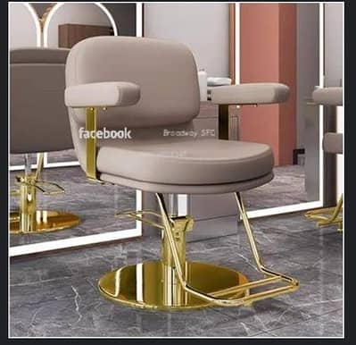 Saloon chairs/saloon furniture/salon chair/Barber chair/cutting chairs