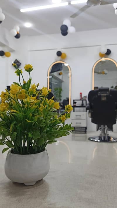 Job Offer In Saloon. . .