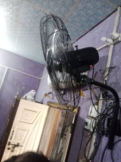 AC DC Fan For Sale