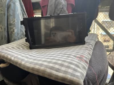 Cultus panel genuine