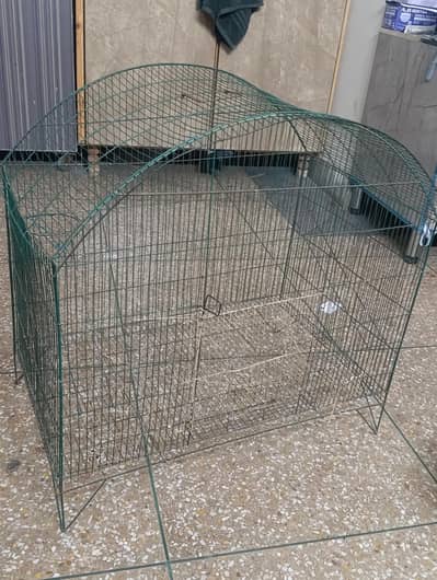 2 cage hain is tara ka 4500 ka lay lain full mohabat