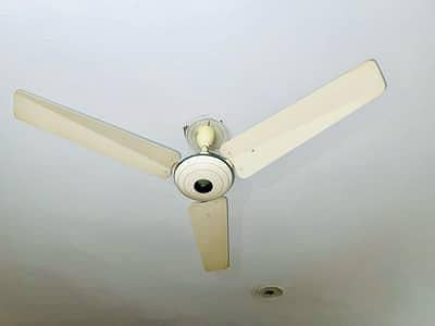 ceiling fan