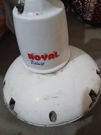 Royals Fans for sale