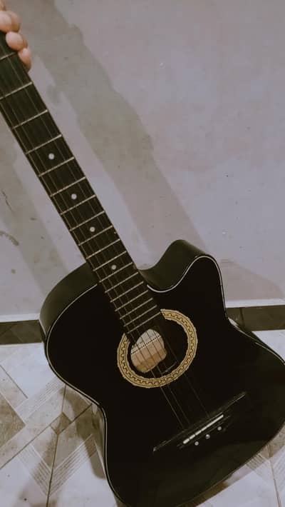 guitar brand Levinland model LW 3180 in good condition