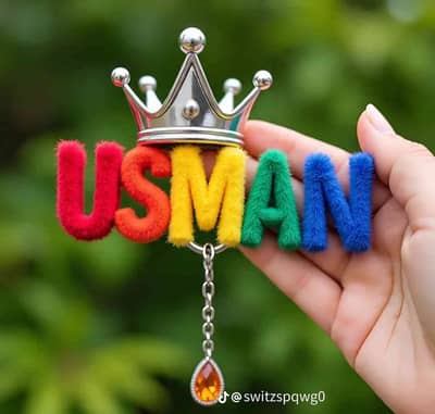 usman malik