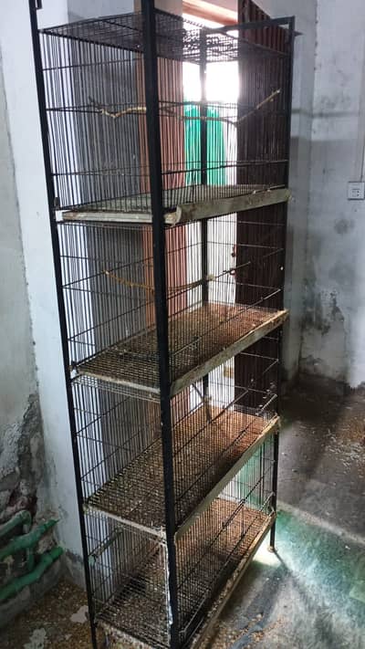 Cages For Parrots