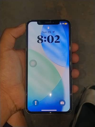 iPhone XS convert 11pro