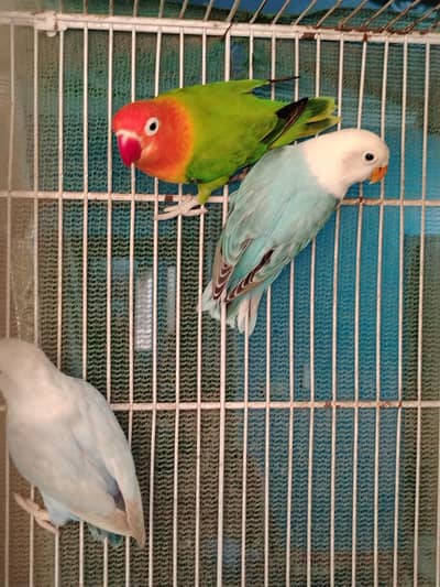 Poora setup khatam karna he,