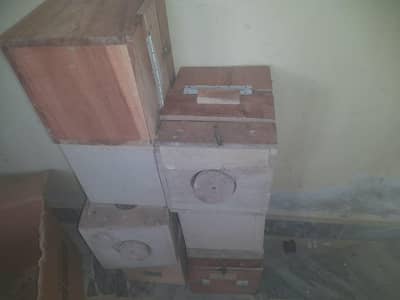 Wooden box for Love Birds