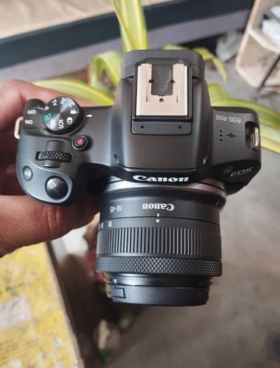 Canon R50 body With 18/45 lens