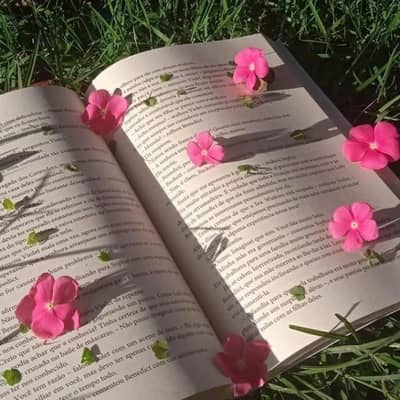 Online work in Pakistan